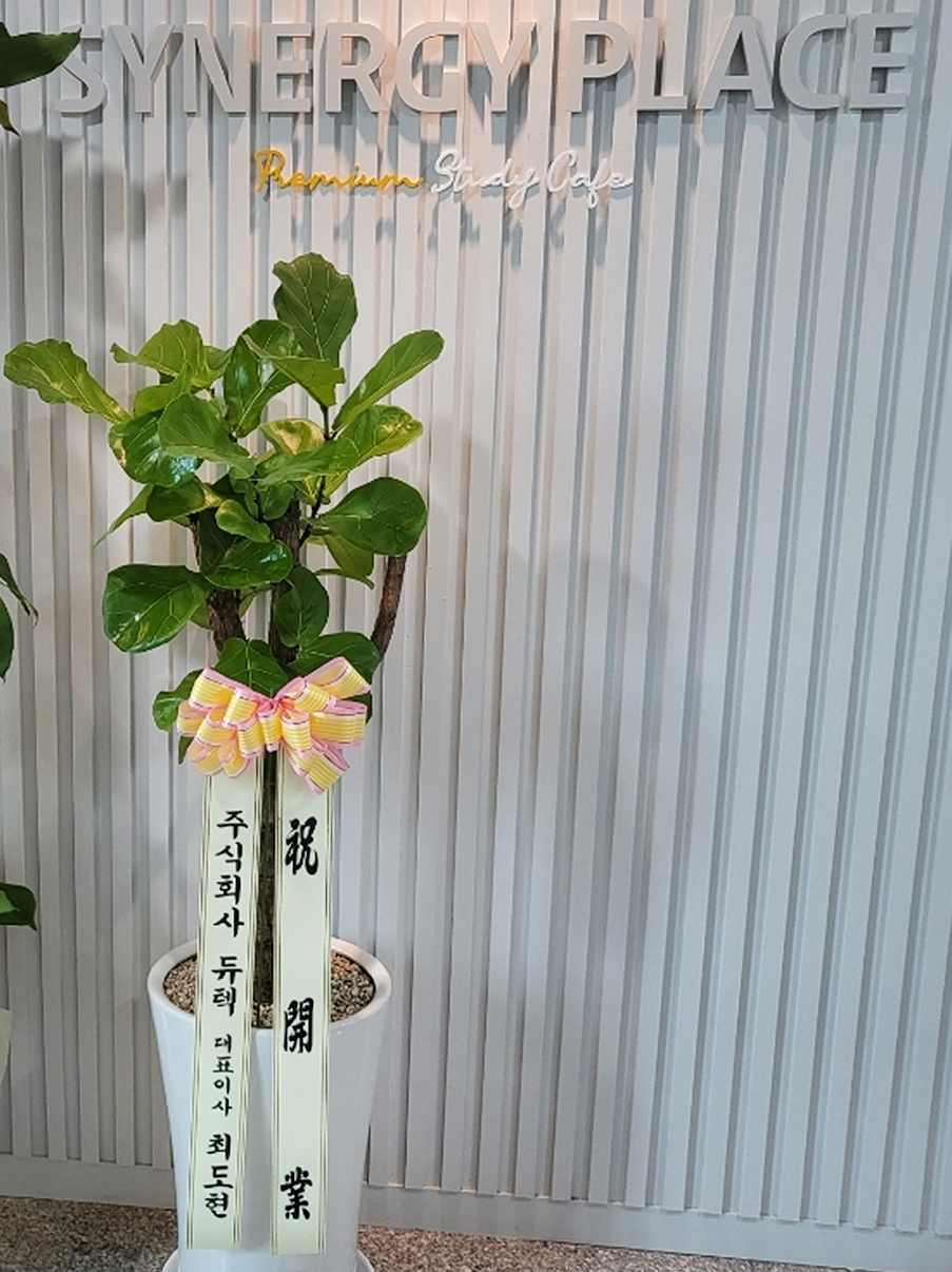 예도화환 배송 전 식물 잎 닦기 및 화분 포장 과정 사진