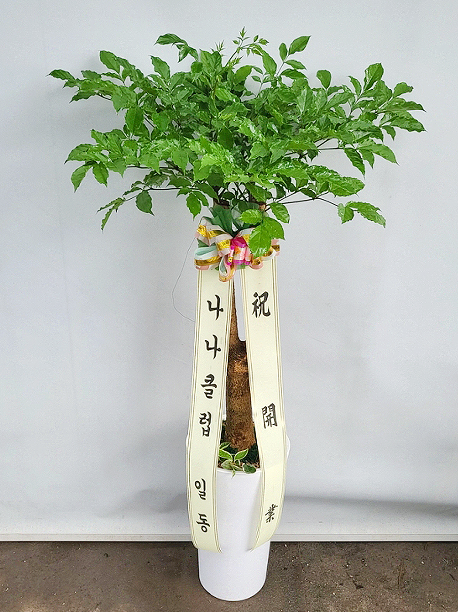 예도화환 현장 설치 완료 사진 예시