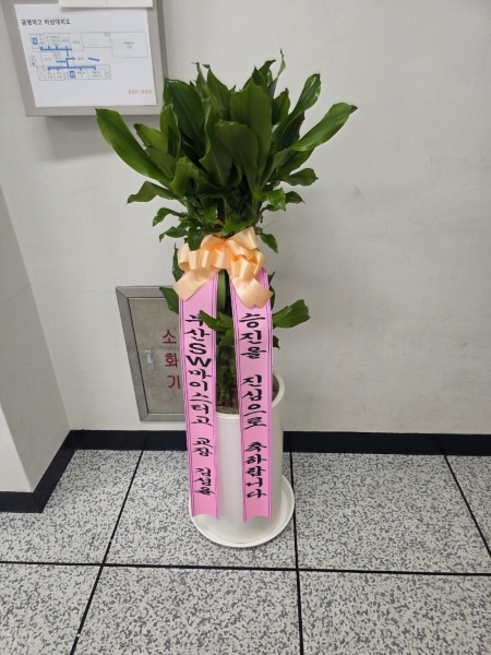 예도화환 리본 프린팅 및 출고 전 식물 상태(잎사귀 윤기, 화분 파손 여부) 검수 과정 사진