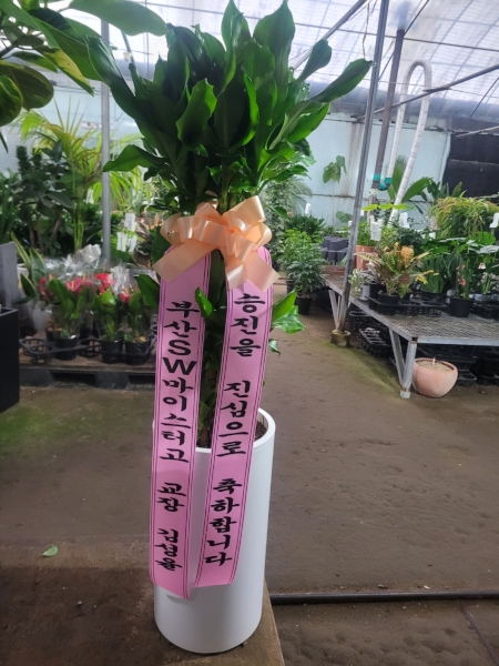 예도화환 제작 공정/QC 검수 과정 사진