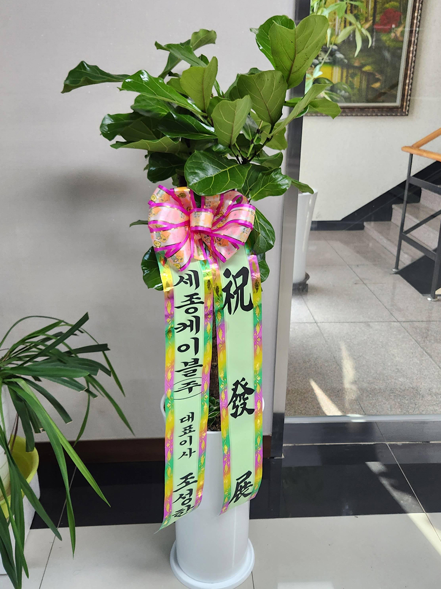 예도화환 리본 문구가 부착된 개업화분 배송 완료 사진