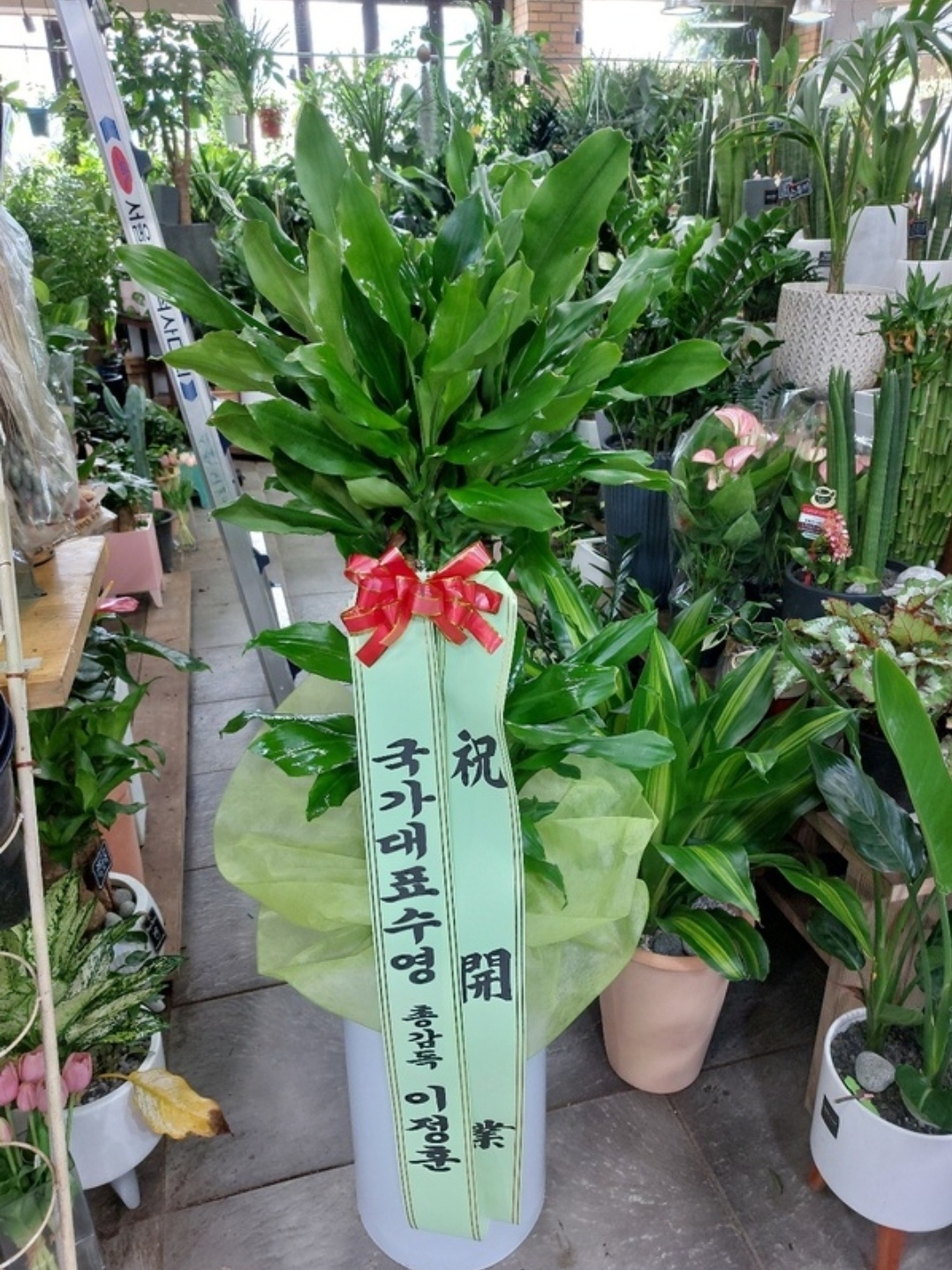 예도화환 출고 전 식물 상태 검수 및 리본 확인 과정