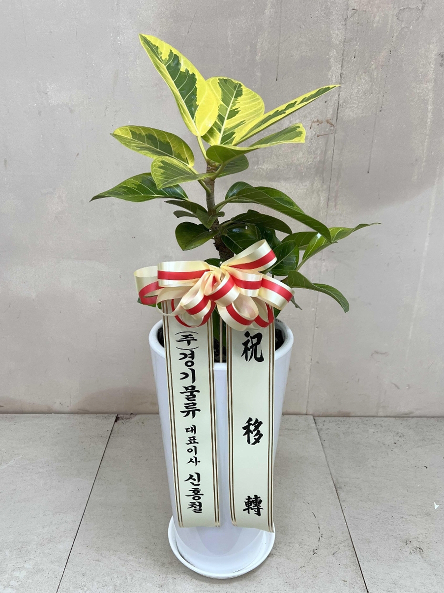 예도화환 출고 전 리본 문구 오탈자 및 식물 상태를 점검하는 검수(QC) 과정 사진