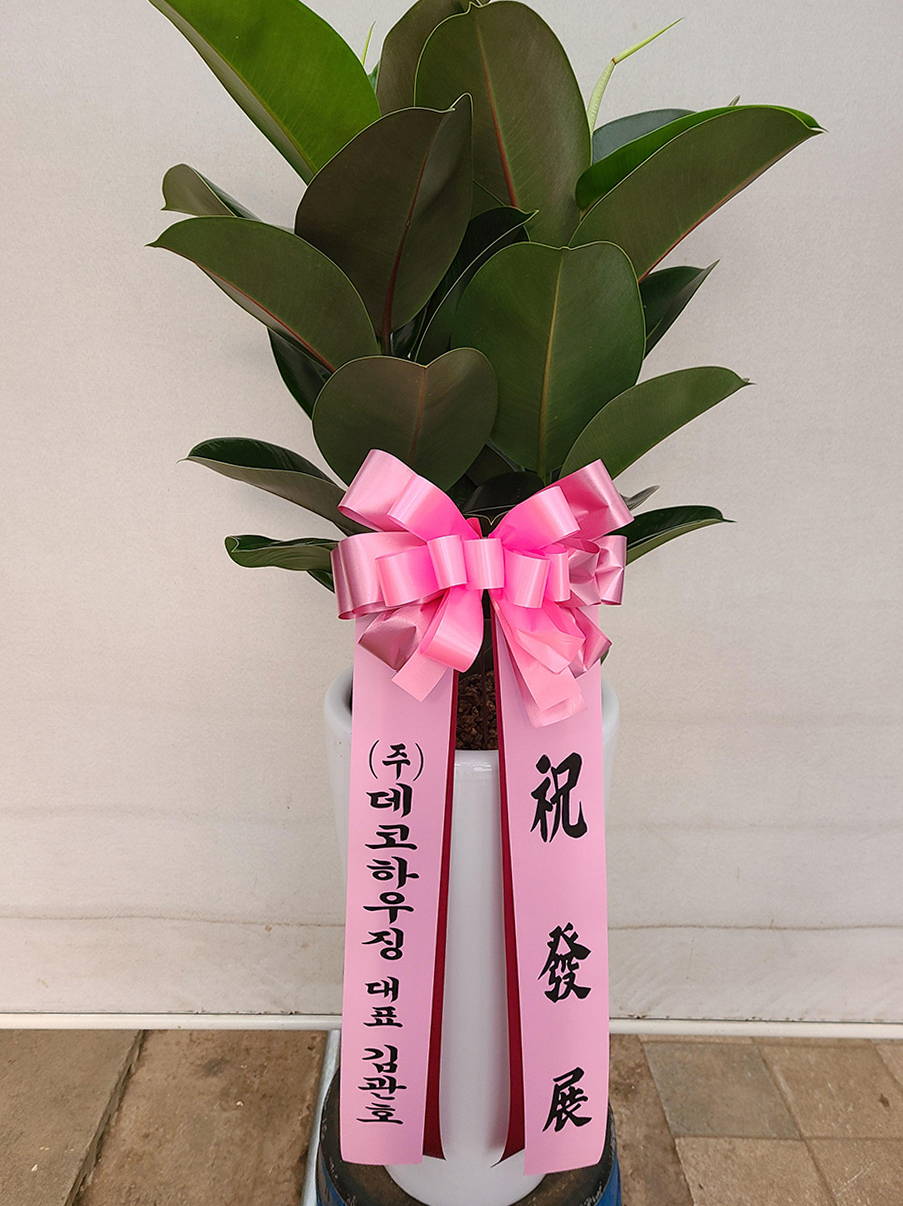 예도화환 의왕 포일동 IT밸리 로비에 배송된 대형 관엽식물 사진