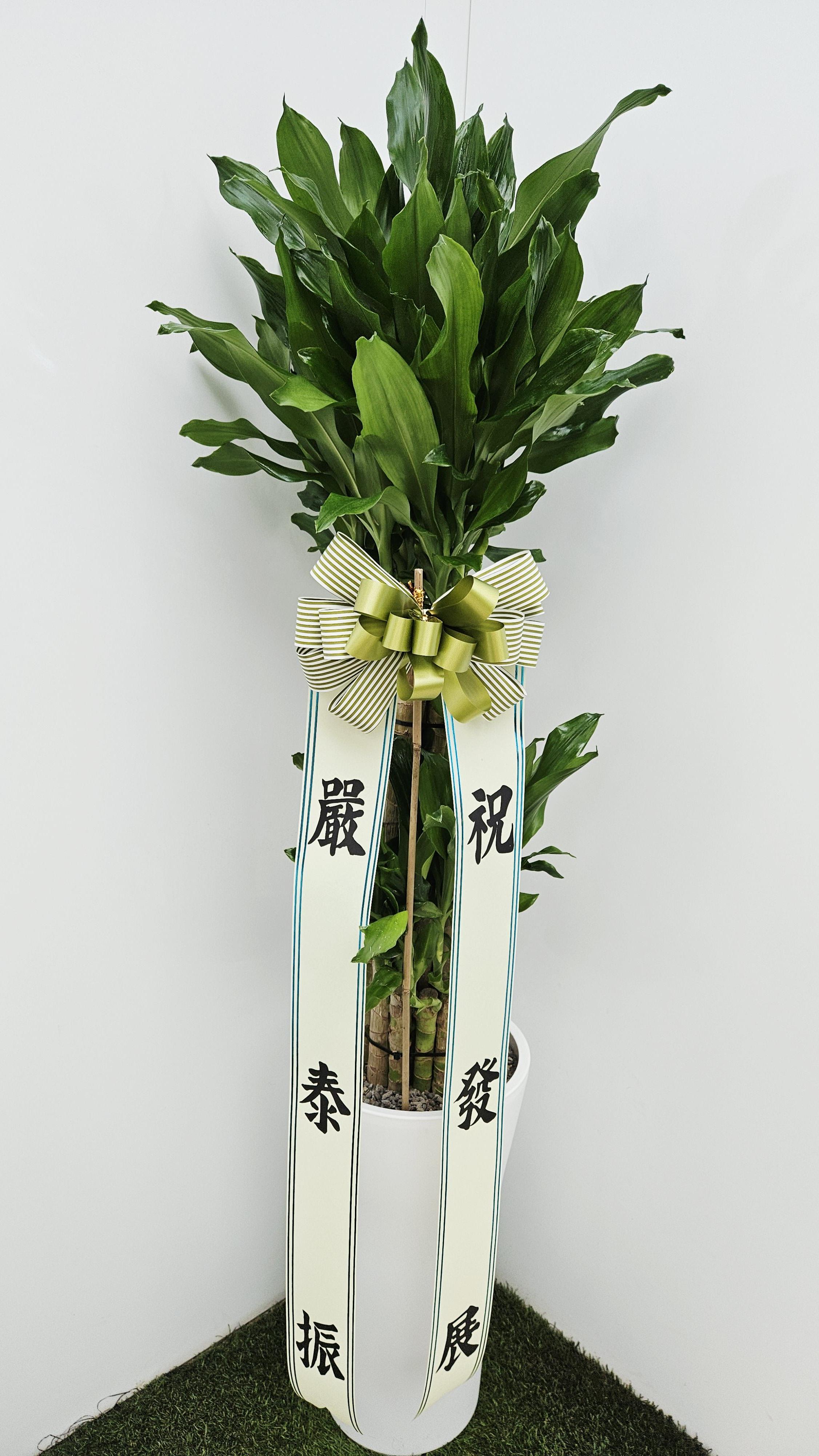 예도화환 리본 문구가 출력되어 화분에 부착된 모습