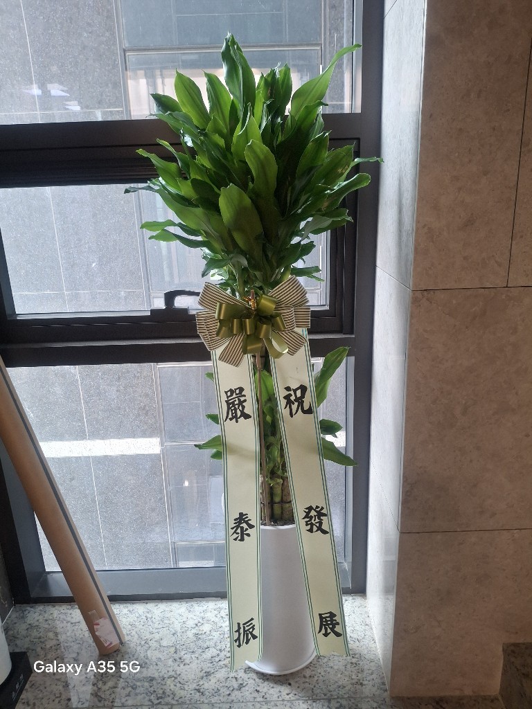 예도화환 리본 문구가 출력되어 화분에 부착된 모습