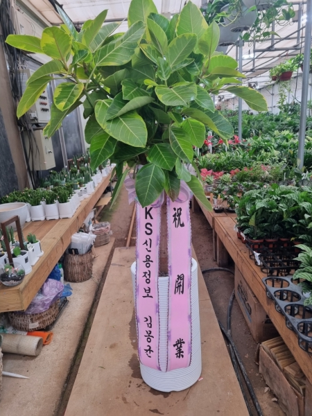 예도화환 제작 공정/QC 검수 과정 사진