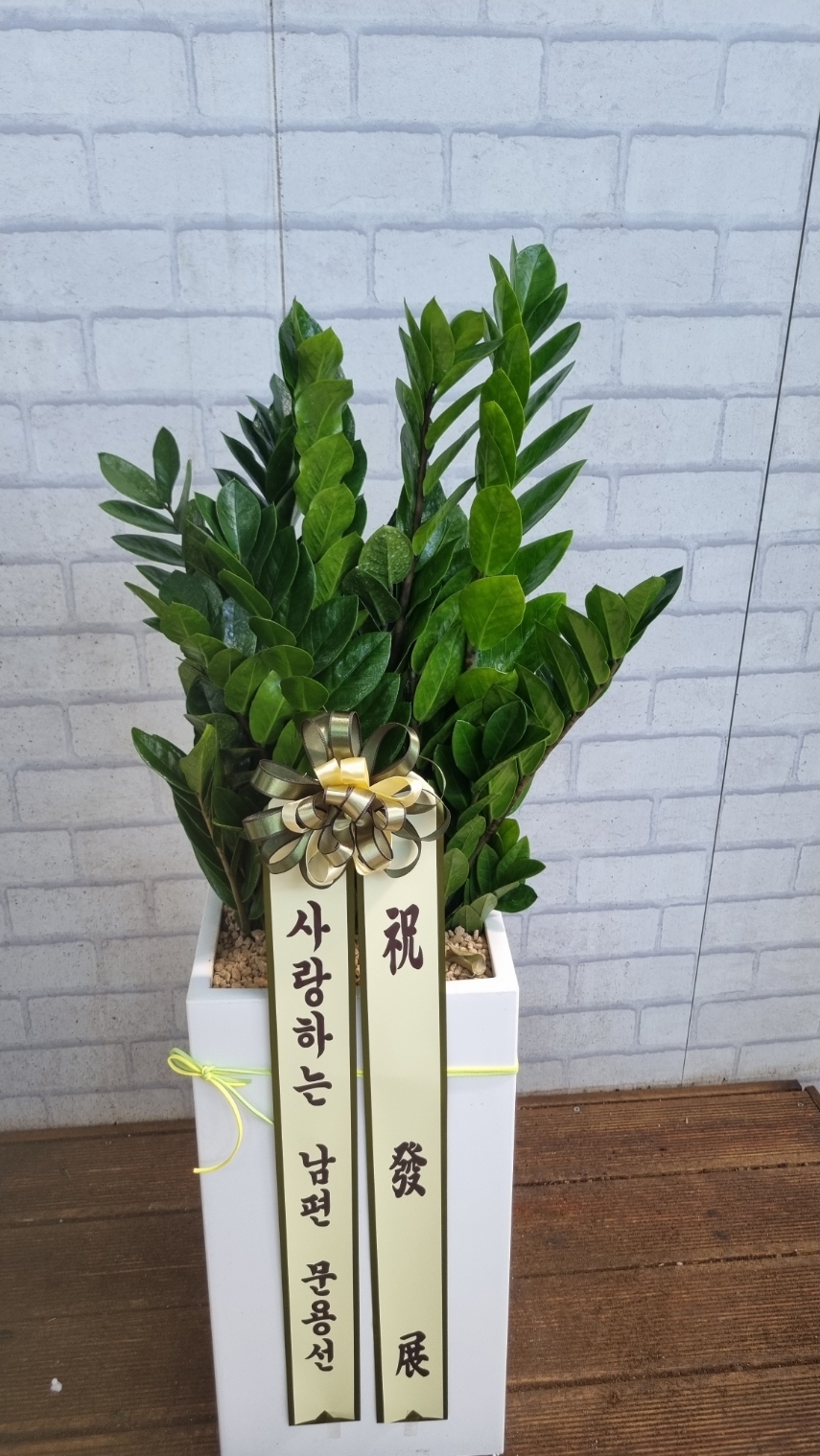 예도화환 농장 직출고 전 관엽식물 잎 상태 및 리본 검수 과정