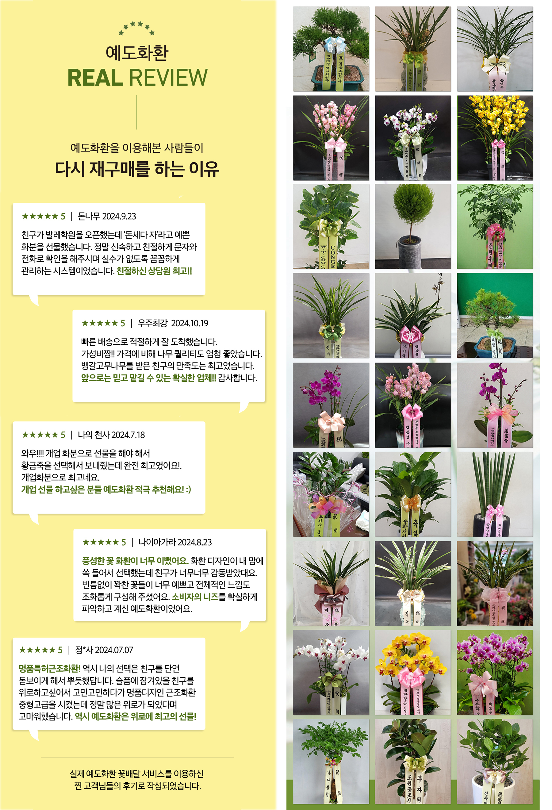 예도화환 배송 기사님이 동양란을 안전하게 포장하여 차량에 싣는 모습