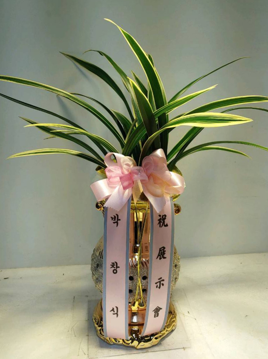 예도화환 리본이 부착된 난 화분이 안전하게 배송된 모습