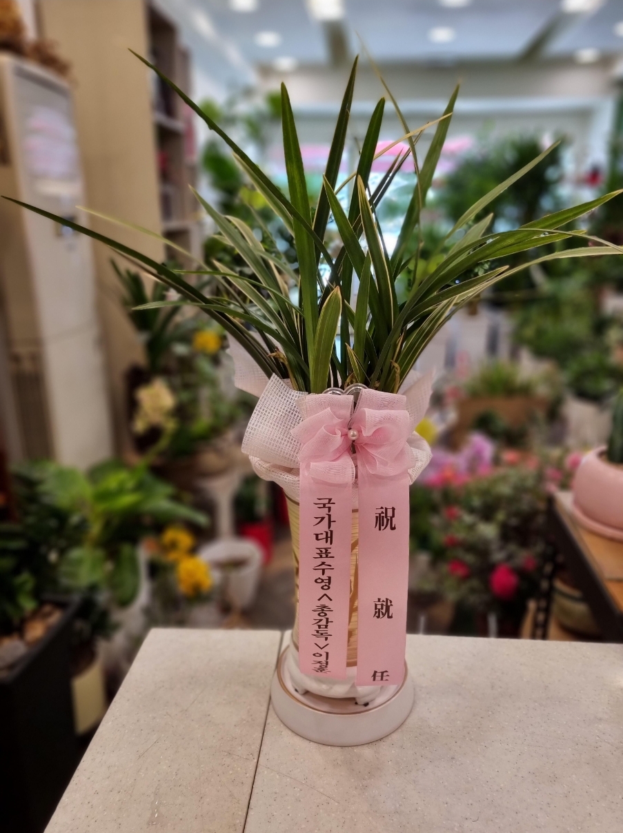 예도화환 리본이 부착된 난 화분이 안전하게 배송된 모습