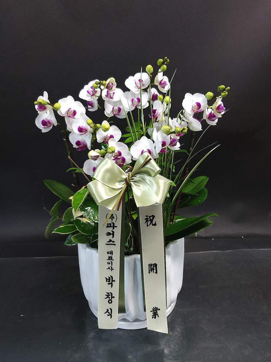 예도화환 승진 축하 리본이 달린 동양란 철골소심의 사무실 책상 위 배치 모습