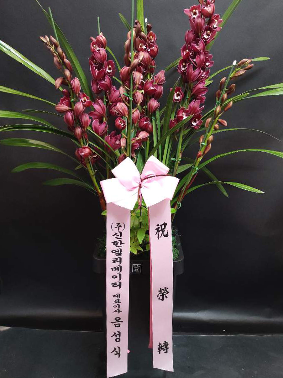 예도화환 승진 축하 리본이 달린 동양란 철골소심의 사무실 책상 위 배치 모습