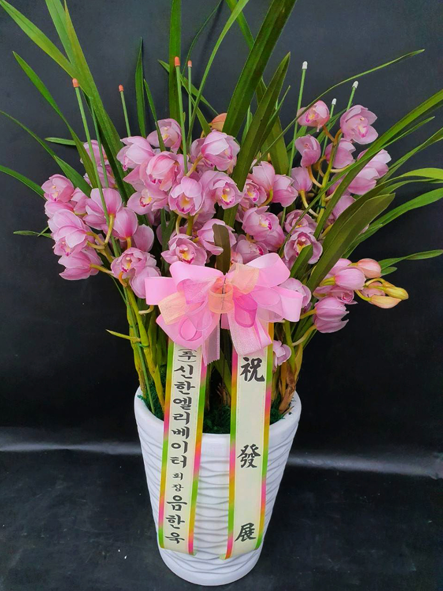 예도화환 오피스 로비/접견실에 난 설치 완료 후 거리감(동선) 확인 사진