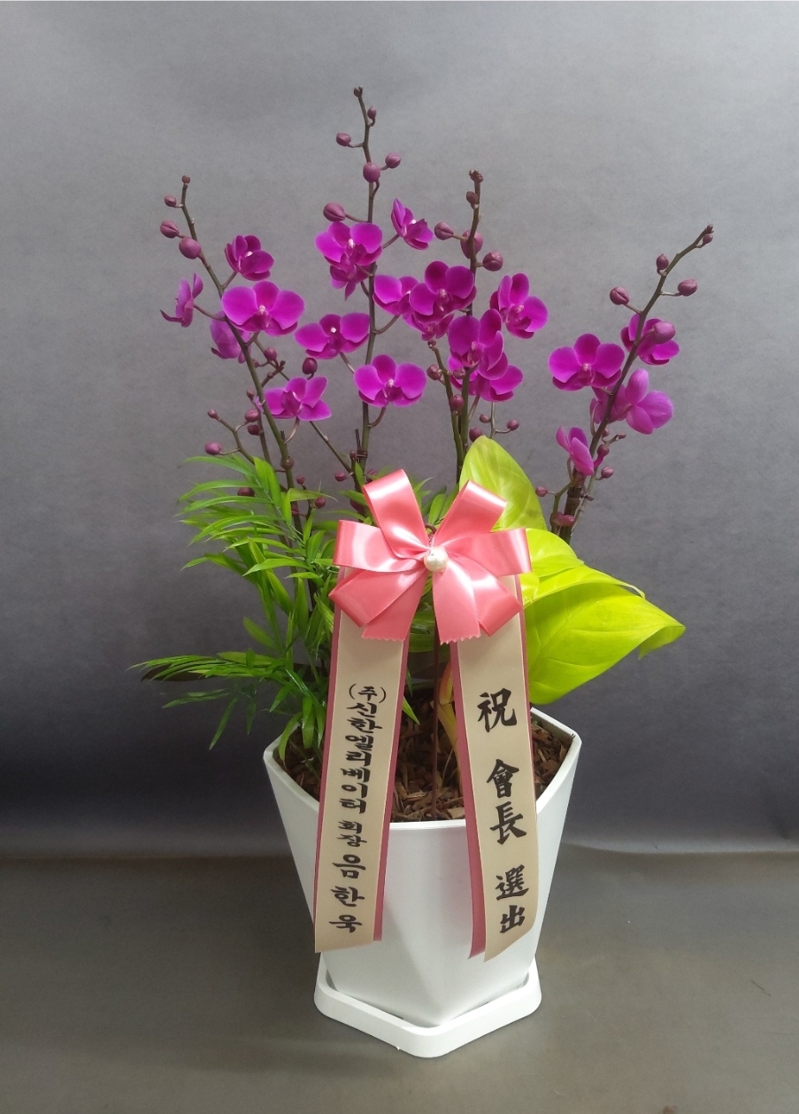 예도화환 오피스 로비/접견실에 난 설치 완료 후 거리감(동선) 확인 사진