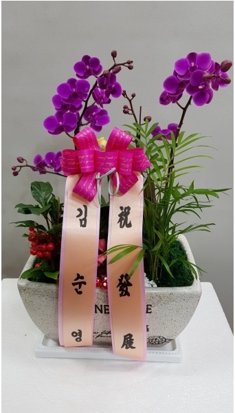 예도화환 예도화환 농장에서 사용하는 난 전용 영양제와 시비 모습