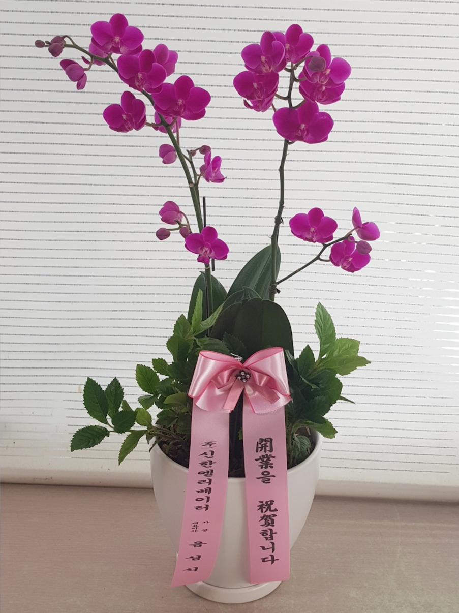 예도화환 관공서 사무실에 세팅된 고급 승진축하난 배송 완료 사진