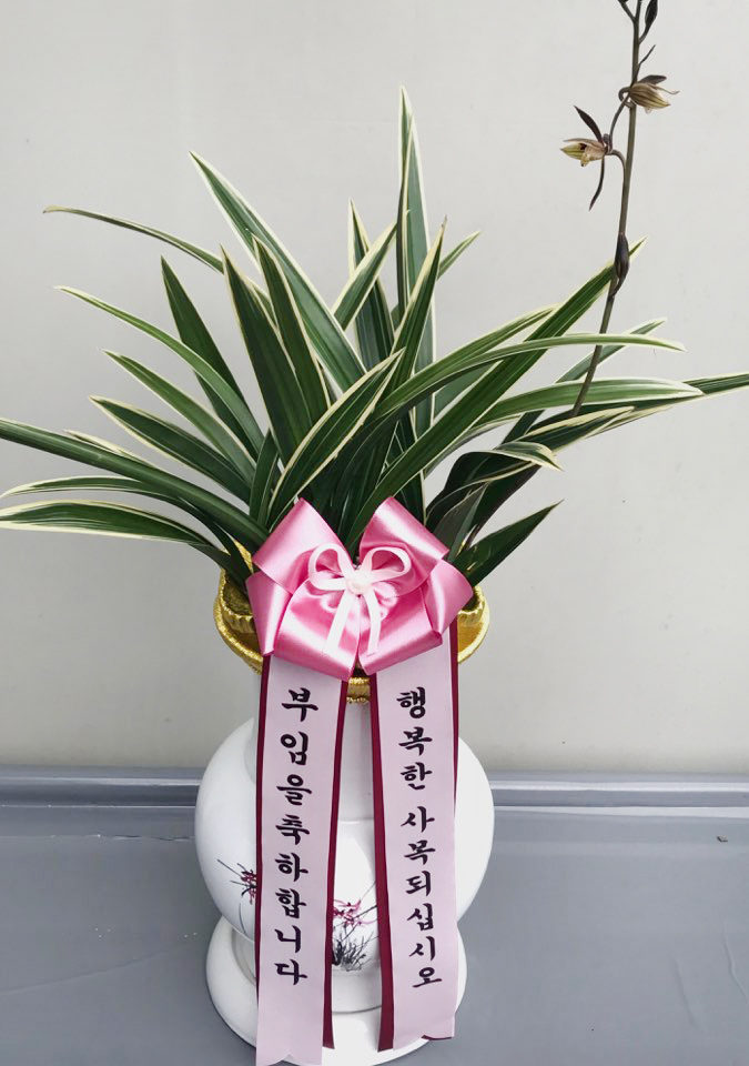 예도화환 리본 프린팅 및 화분에 반듯하게 고정하는 검수 과정 사진