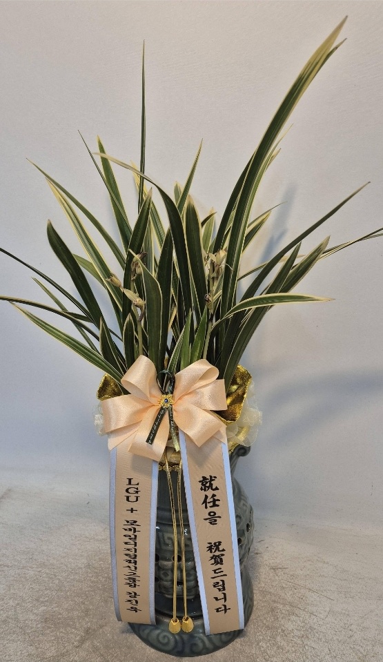 예도화환 예도화환 전용 배송 차량 및 안전 포장 배송 모습