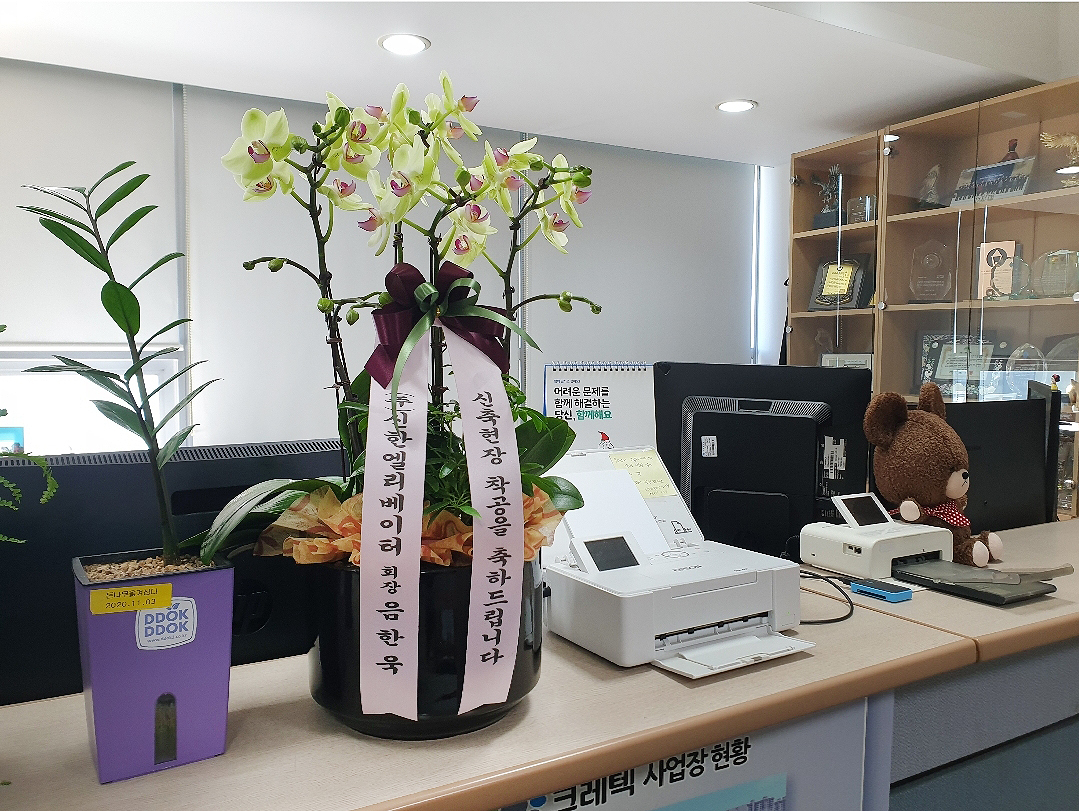 예도화환 완도군 관공서로 배송된 동양란 현장 사진