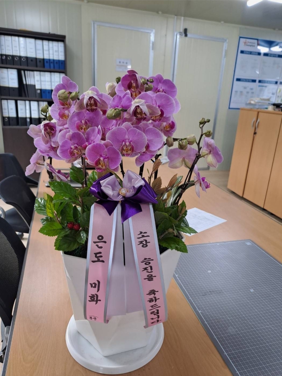 예도화환 완도군 관공서로 배송된 동양란 현장 사진