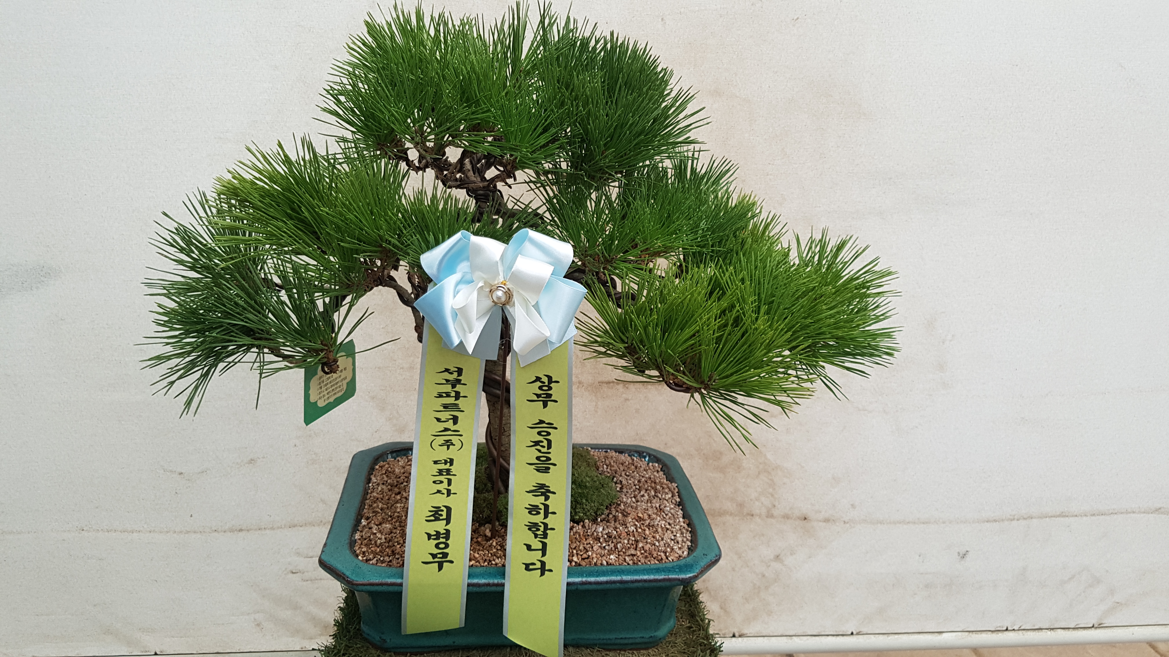 예도화환 대구 수성구 법조타운 사무실 책상 위에 놓인 동양란 사진