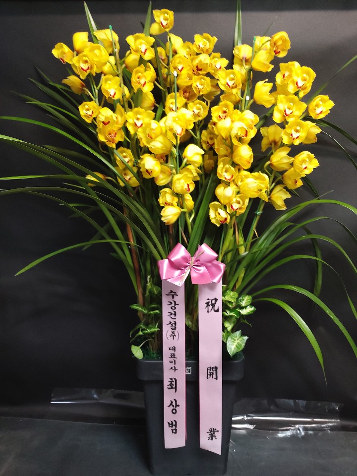 예도화환 난이 다치지 않게 안전하게 포장하여 차량에 적재한 모습