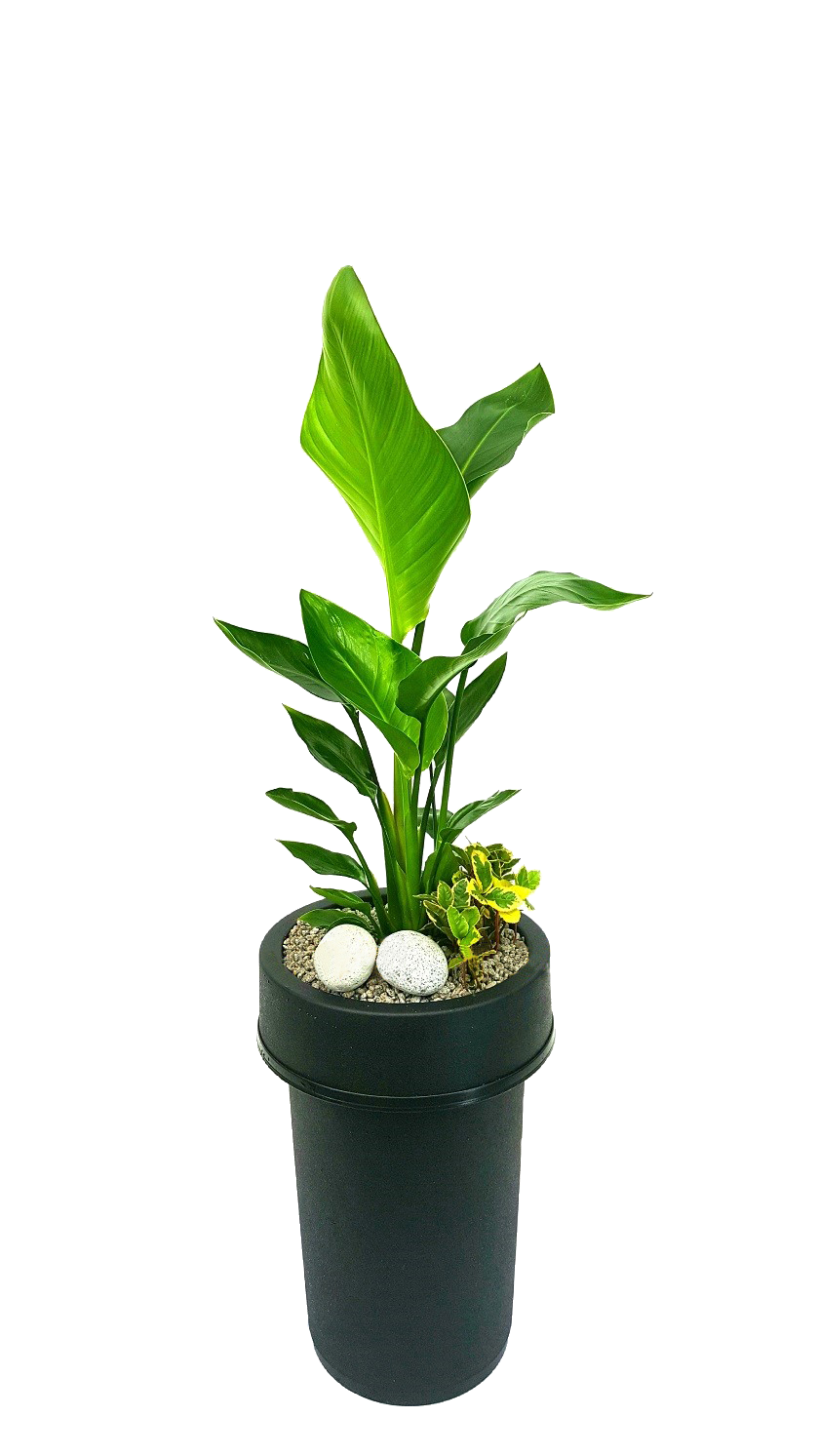 예도화환 개업화분 대표 상품 실제 제작 사진