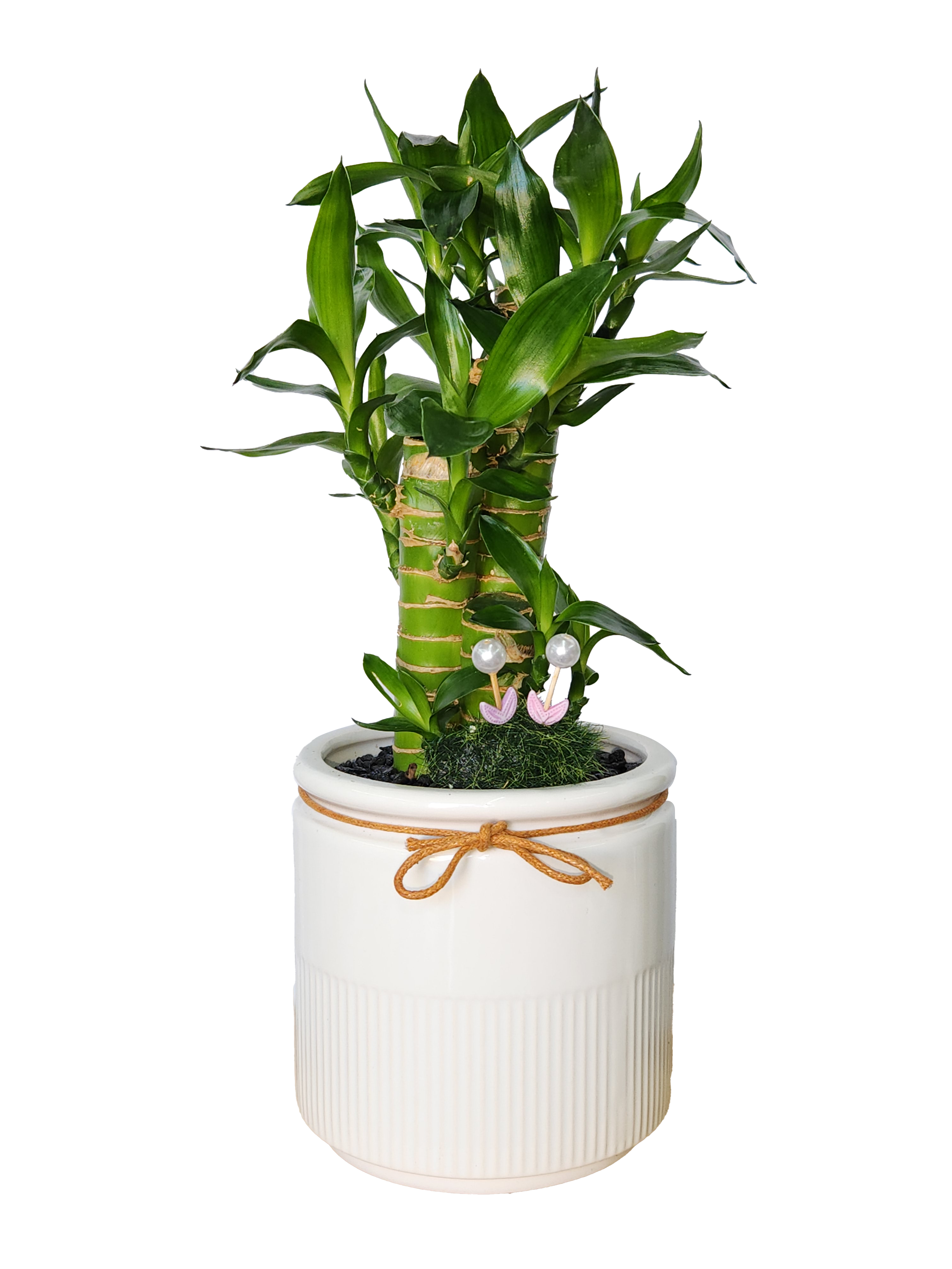 예도화환 개업화분 대표 상품 실제 제작 사진