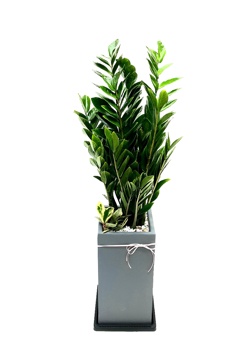 예도화환 개업화분 대표 상품 실제 제작 사진