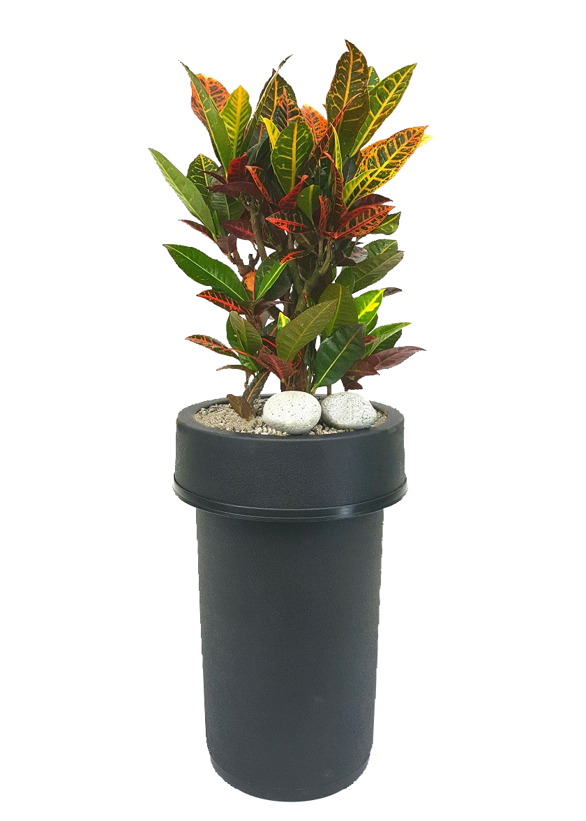 예도화환 스킨답서스 타워형과 일반 화분형 비교 사진