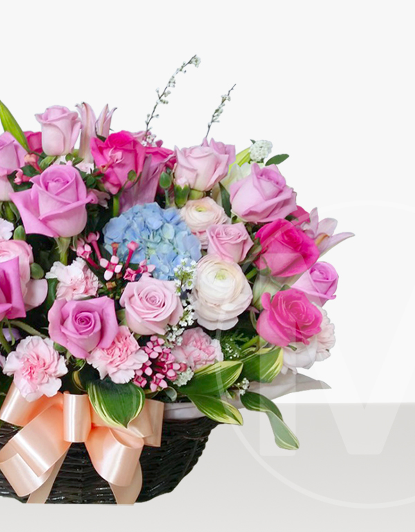 예도화환 고급스러운 화분에 담긴 동양란과 서양란 연출컷