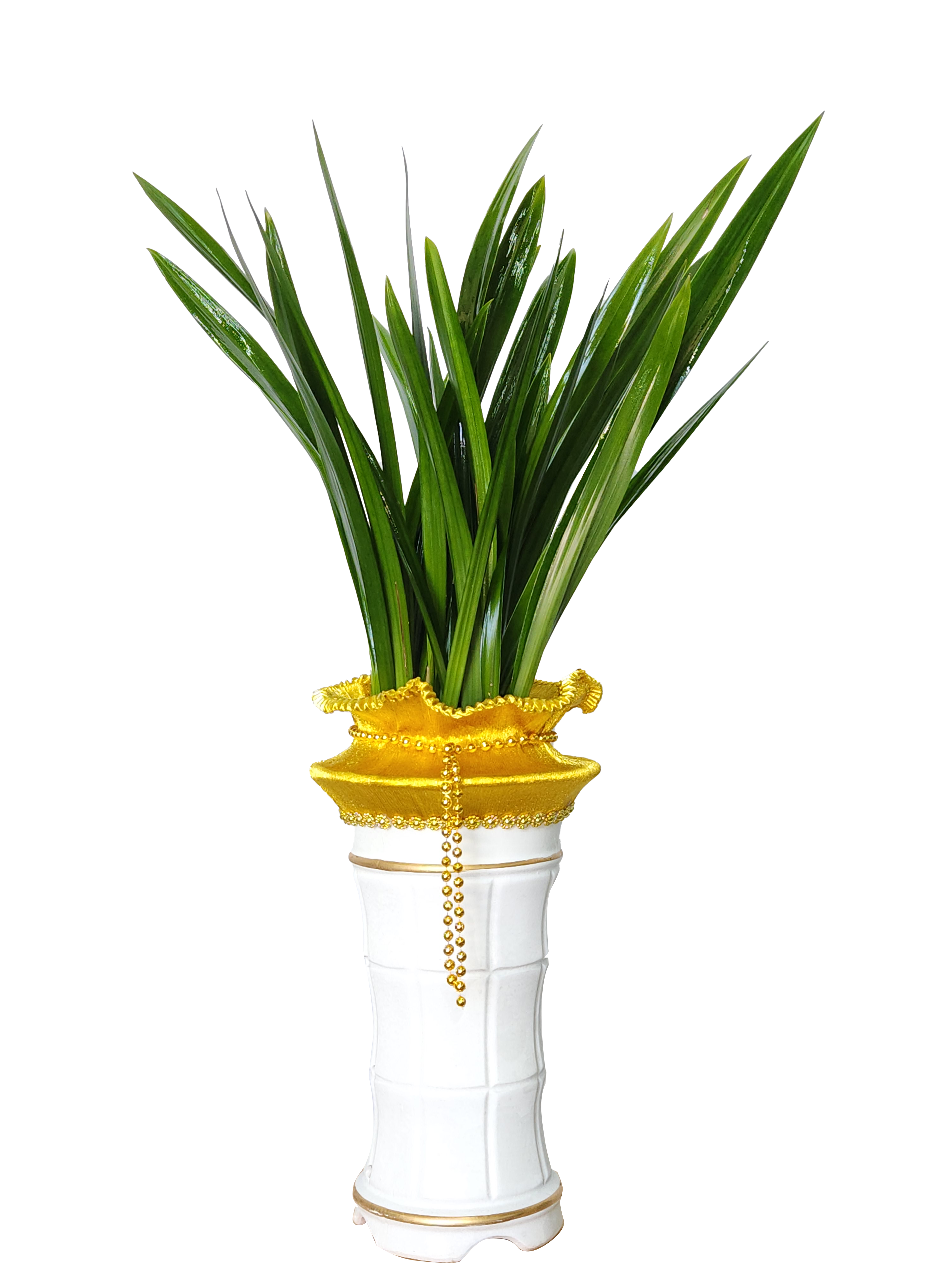 예도화환 동양란/서양란 등급별 화분 크기와 잎 균형 비교 사진