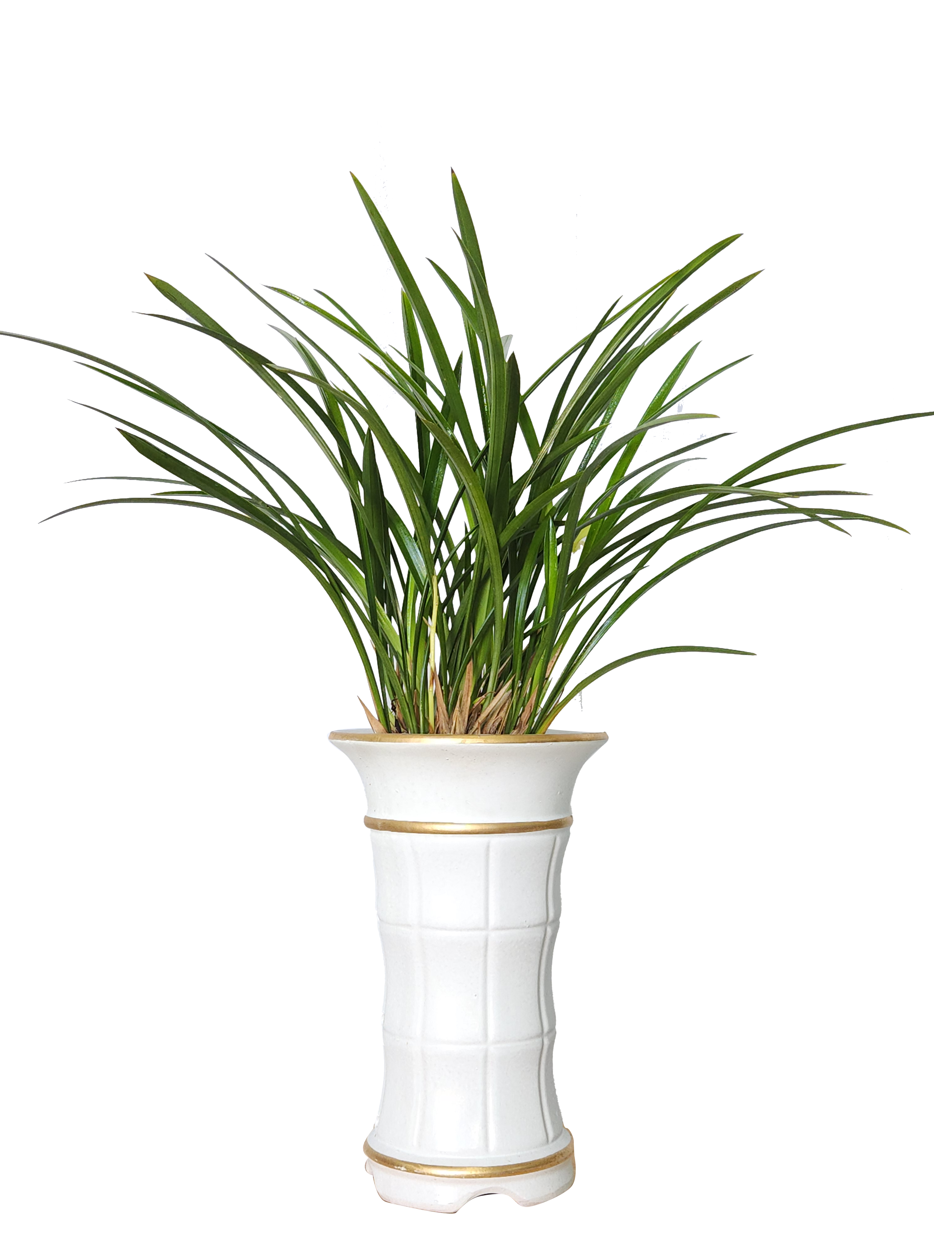 예도화환 서양란 기본형(3대)과 특대형(단상용)의 크기 및 볼륨감 비교 사진