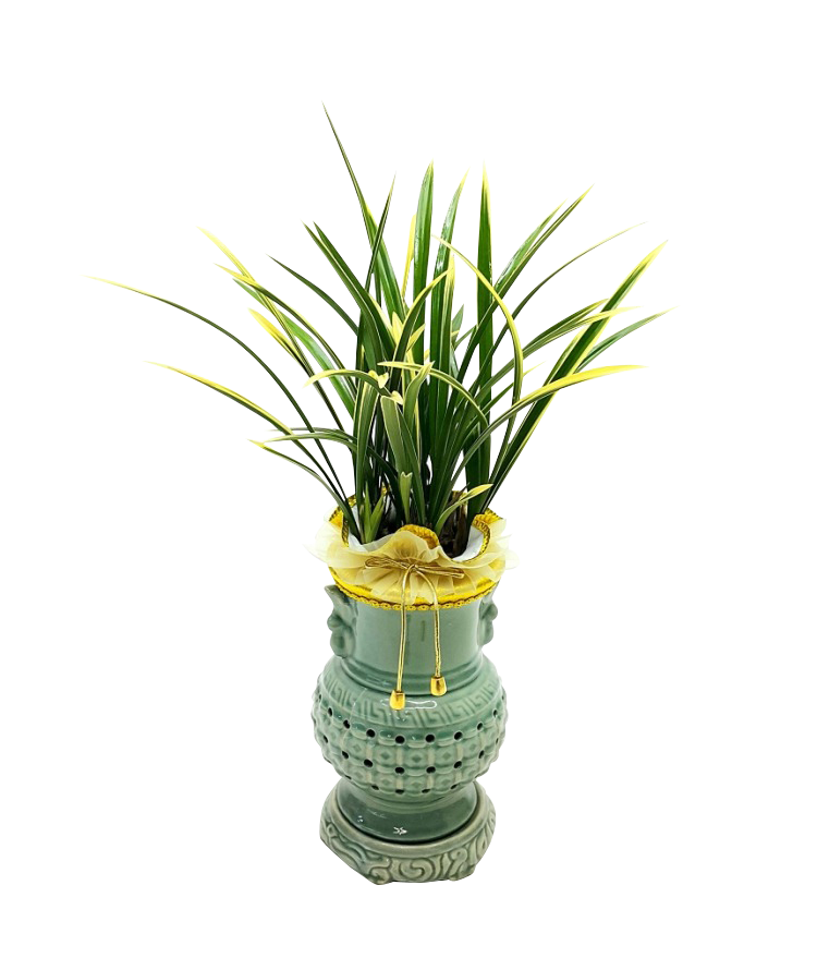 예도화환 철골소심, 태양금, 황룡금 동양란 3종 상세 비교 컷