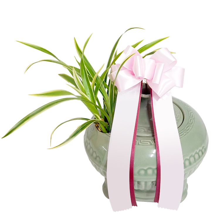 예도화환 승진/취임 동.서양란 대표 상품 실제 제작 사진