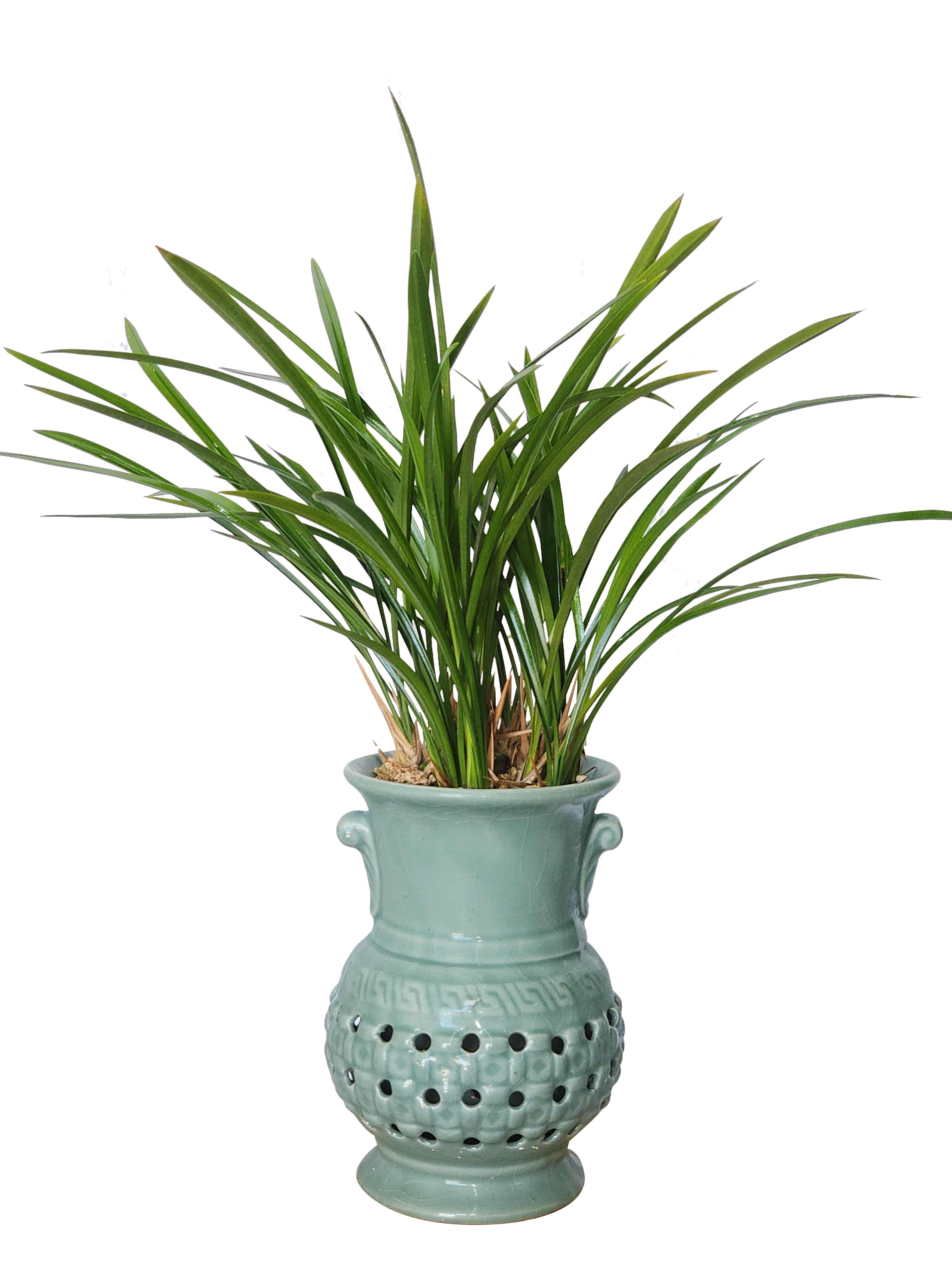 예도화환 실제 난 화분에 부착된 리본 좌우 예시 사진