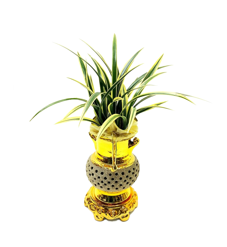 예도화환 실제 난 화분에 부착된 리본 좌우 예시 사진