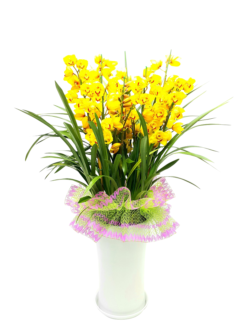 예도화환 철골소심과 만천홍의 실제 배송 상품 비교 사진