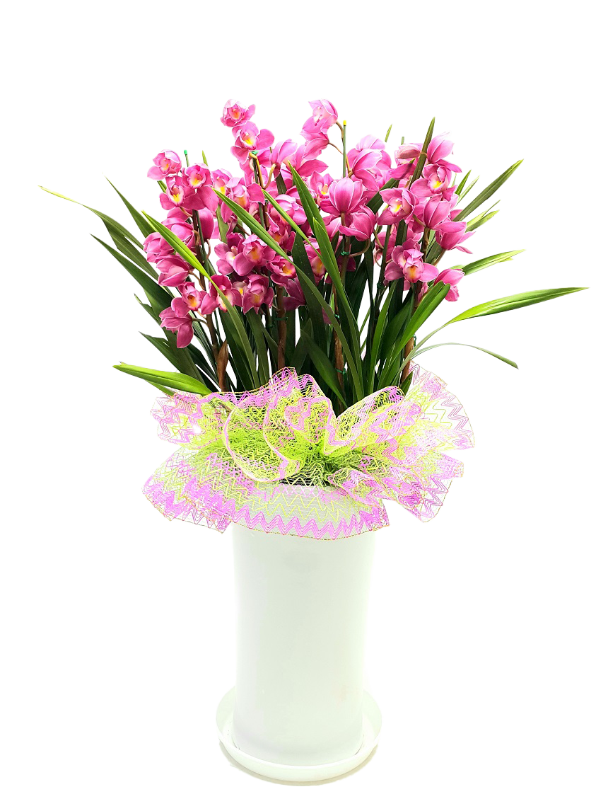 예도화환 고급 동양란과 화려한 서양란 실제 상품 연출컷