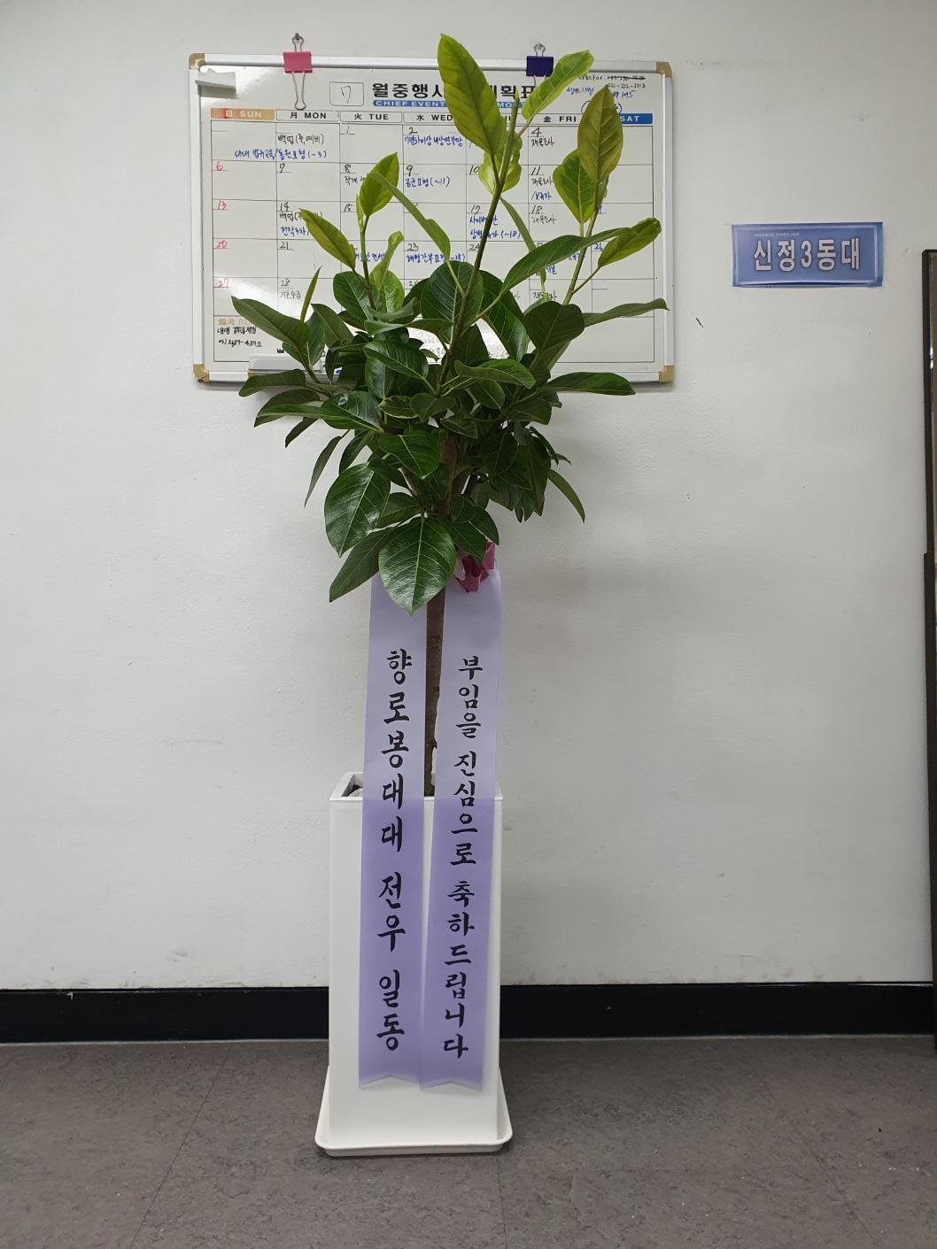 whdr***** 리뷰 사진