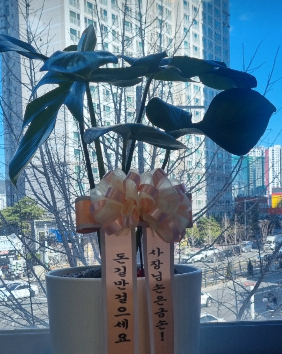 bb**** 리뷰 사진