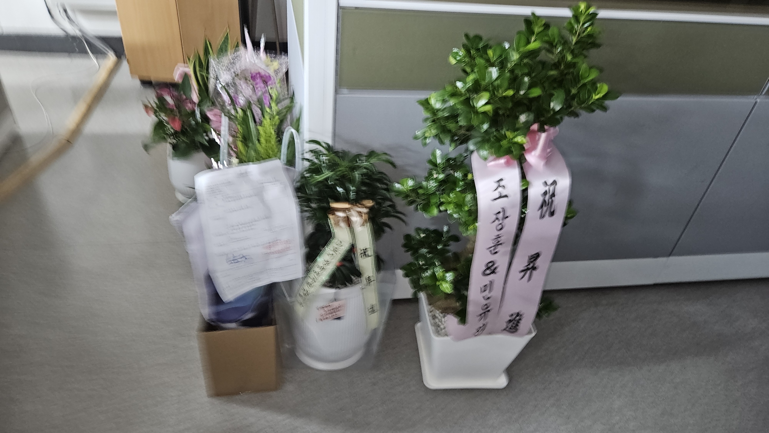 cjh2*** 리뷰 사진