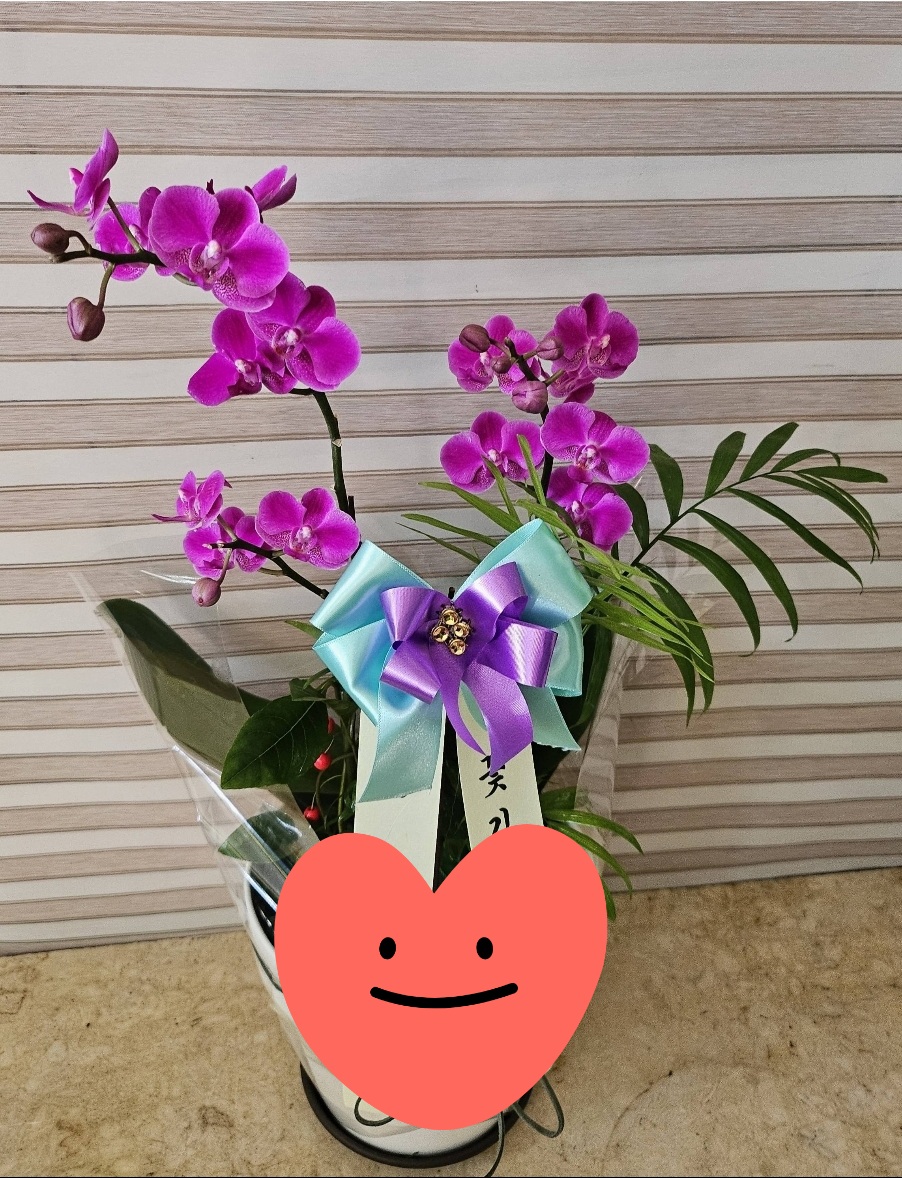kyun**** 리뷰 사진