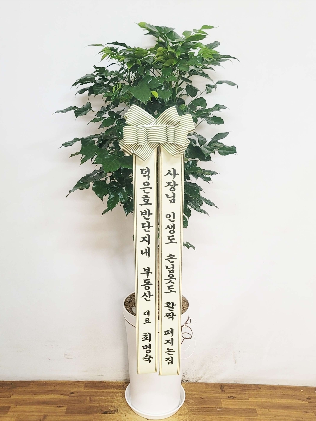 eco1*** 리뷰 사진