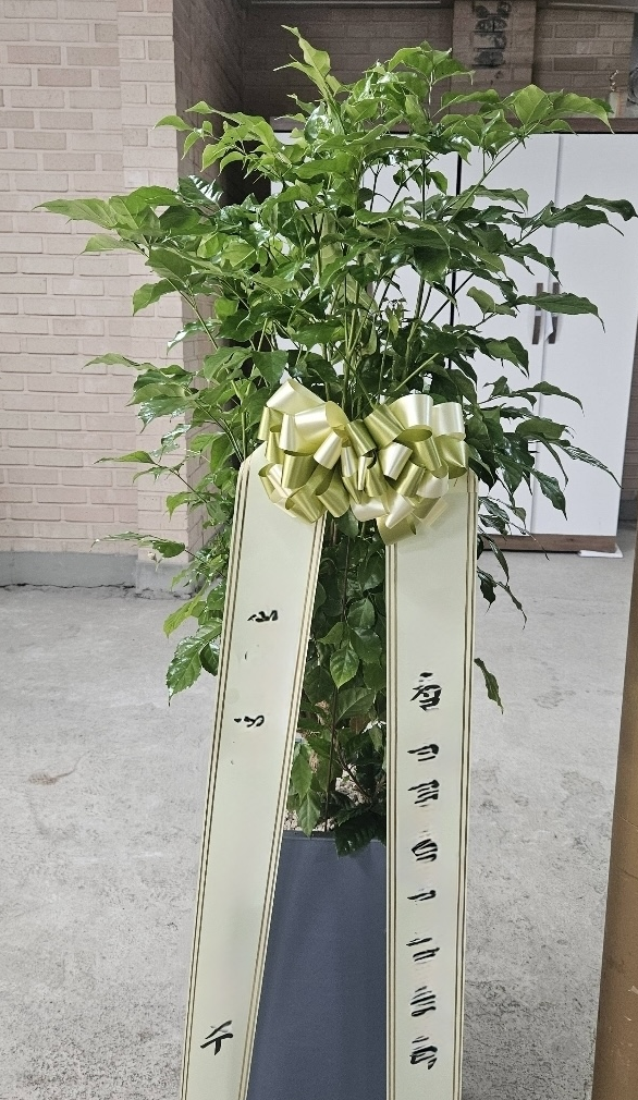 youn******* 리뷰 사진