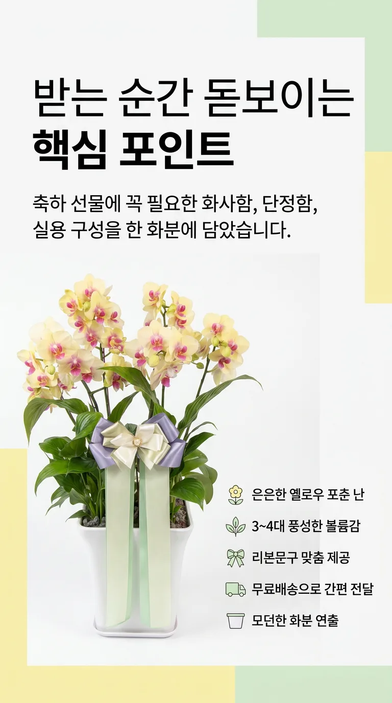 서양란 포춘 축하화분 특장점