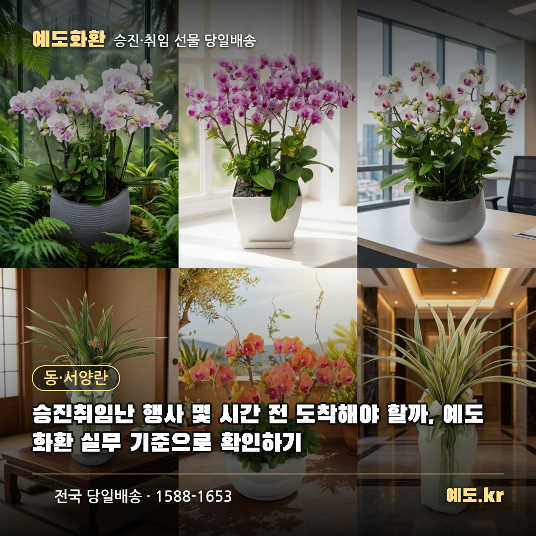 승진취임난 행사 몇 시간 전 도착해야 할까, 예도화환 실무 기준으로 확인하기 - 예도화환