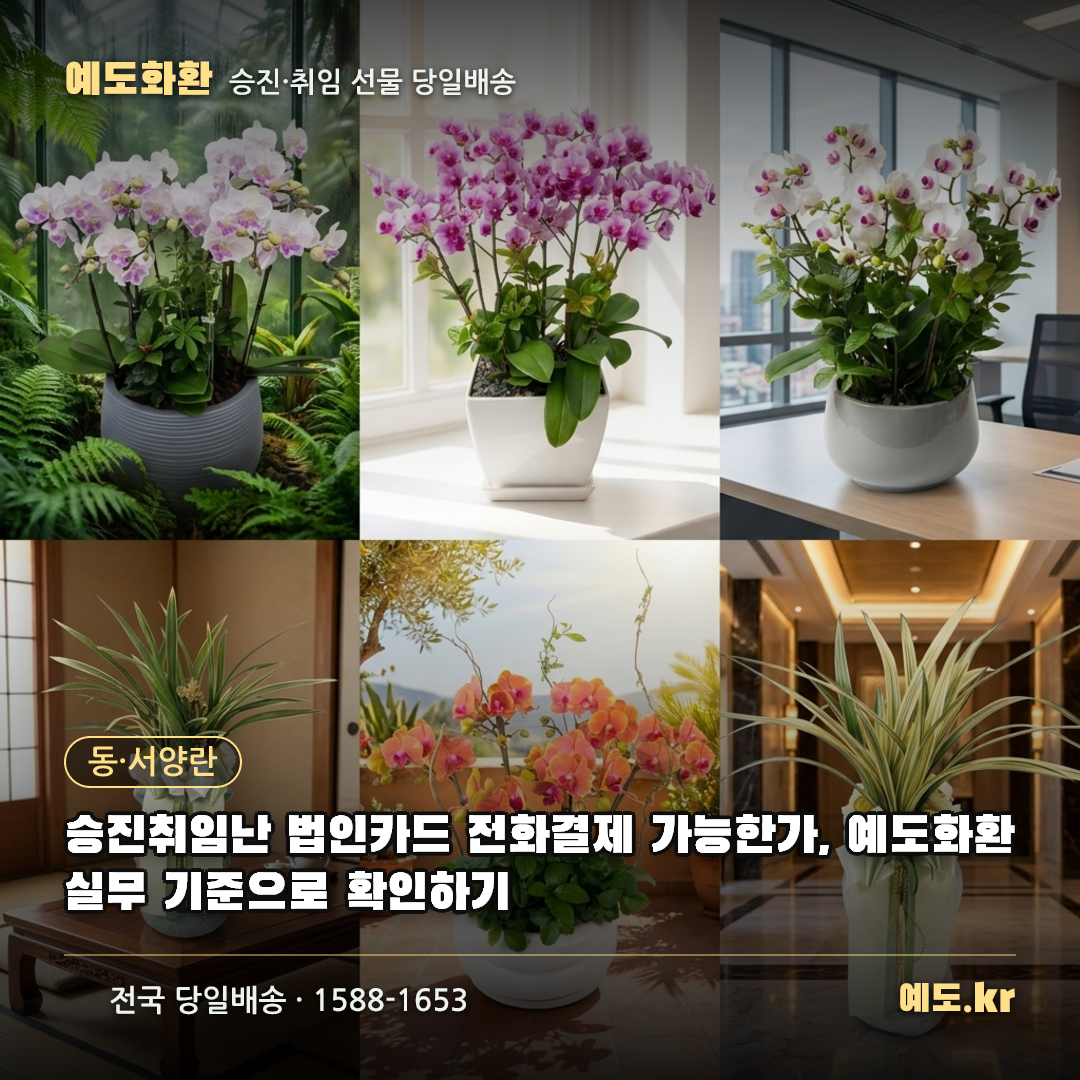 승진취임난 법인카드 전화결제 가능한가, 예도화환 실무 기준으로 확인하기 - 예도화환