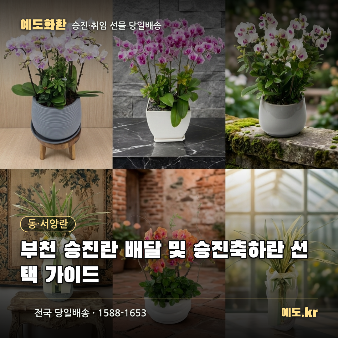 부천 승진란 배달 및 승진축하란 선택 가이드 - 예도화환